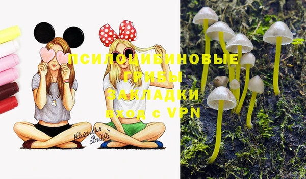 скорость Белокуриха