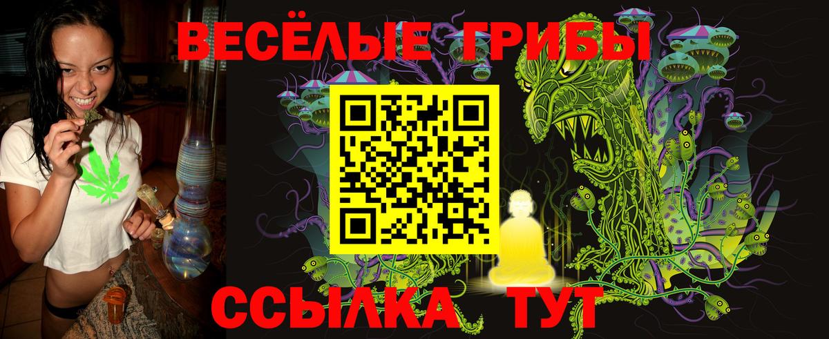 Галлюциногенные грибы Cubensis Надым