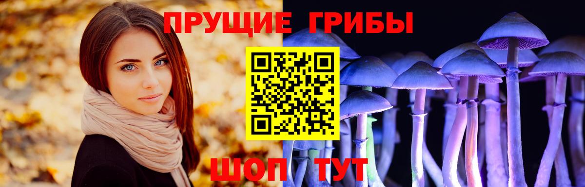 хочу наркоту  Псилоцибиновые грибы ЛСД  Псилоцибиновые грибы Psilocybe  Вход с VPN  Надым 